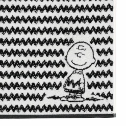 Gästetuch-Set Charlie Brown