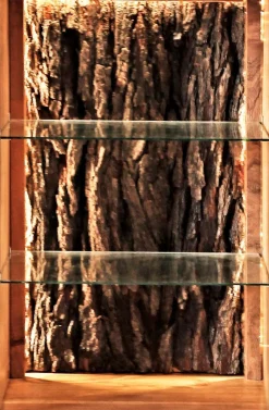 Highboard Bark 4067