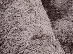 Hochflorteppich Diego 170 x 240 cm