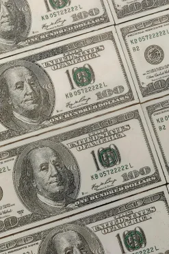 Hocker Dollar 79192