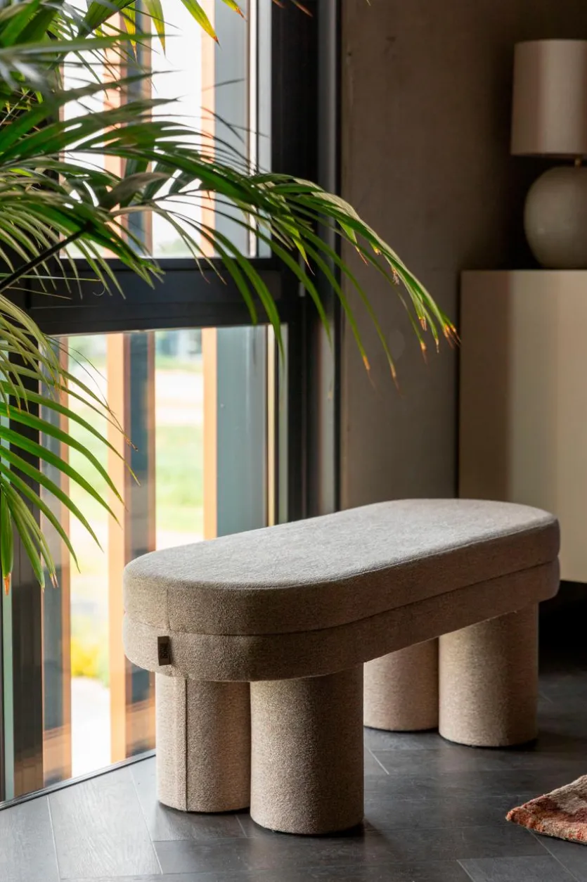 Hocker Fern