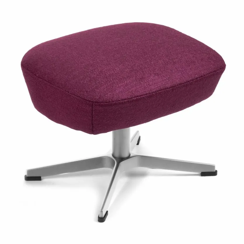 Hocker Turtle
