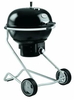 Holzkohlegrill No.1 Air F60