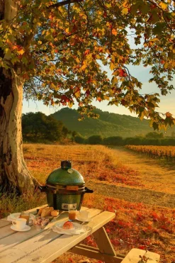 Holzkohlegrill Set. Big Green Egg Minimax
