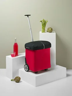 Korbabdeckung Carrycruiser