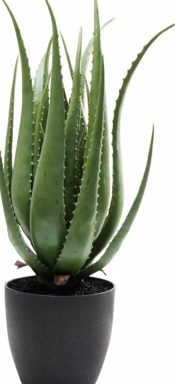 Kunstpflanze Aloe 60724