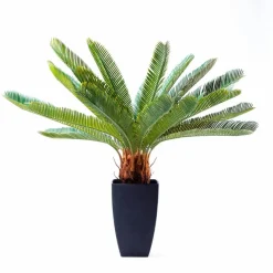 Kunstpflanze Cycas Tree 61200