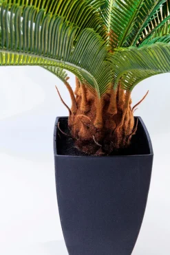 Kunstpflanze Cycas Tree 61200