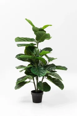 Kunstpflanze Fiddle Leaf 60723