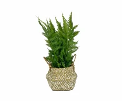 Kunstpflanze Seegras 20 cm