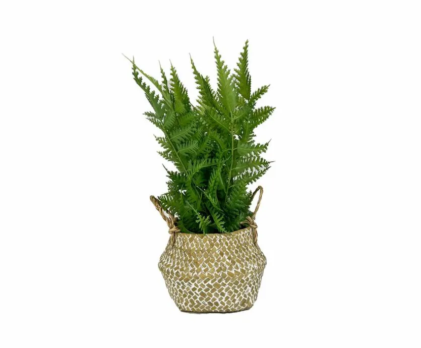 Kunstpflanze Seegras 20 cm