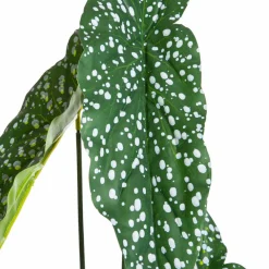 Kunstpflanze Alocasia
