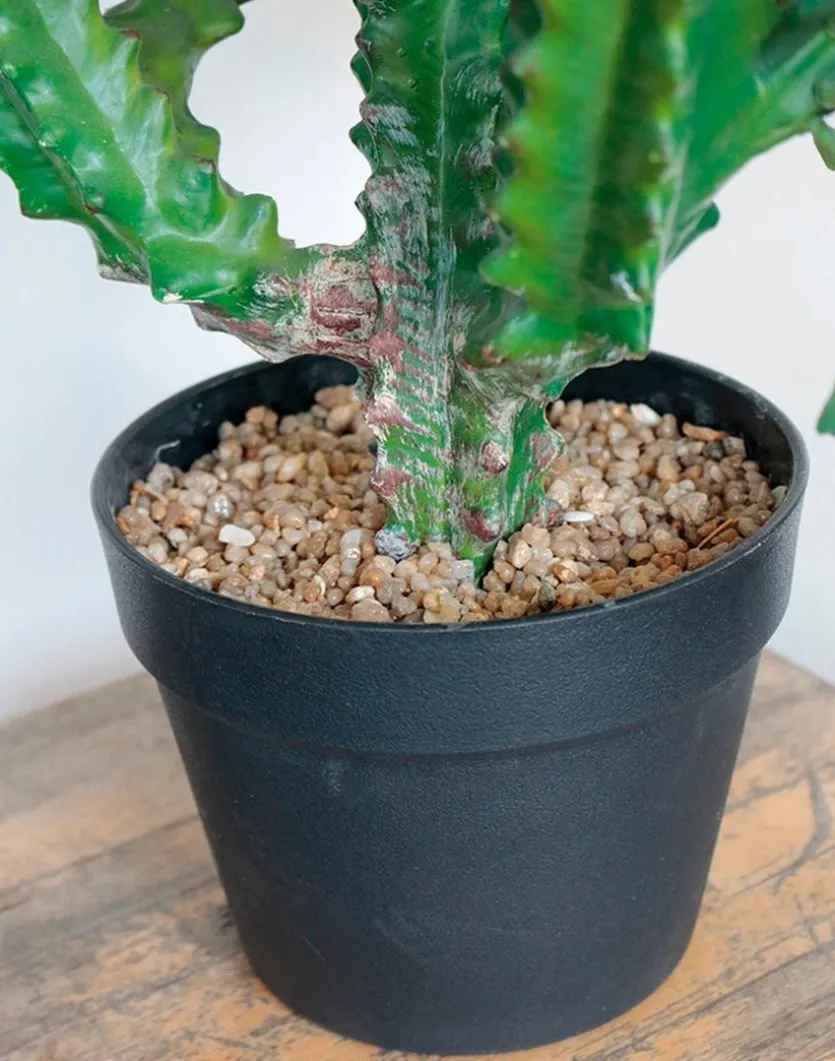 Kunstpflanze Euphorbia 88 cm