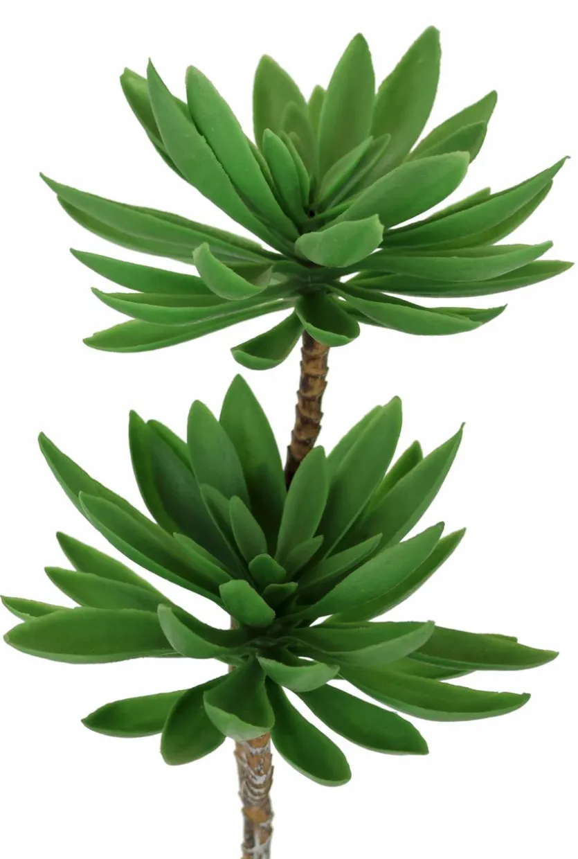 Kunstpflanze Succulenten 62 cm