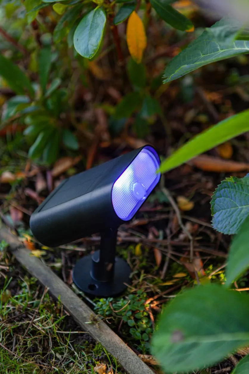 LED-Außensolarerdspieß Ginbo