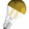 LED-Birne E27/5,5 Watt/Energie F