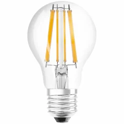 LED-Birne E27/11 Watt/Energie D