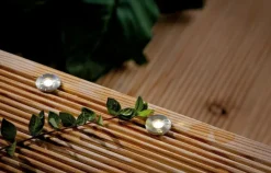 LED-Bodeneinbauleuchte Plug & Shine