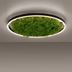 LED-Deckenleuchte Gerda Ritus
