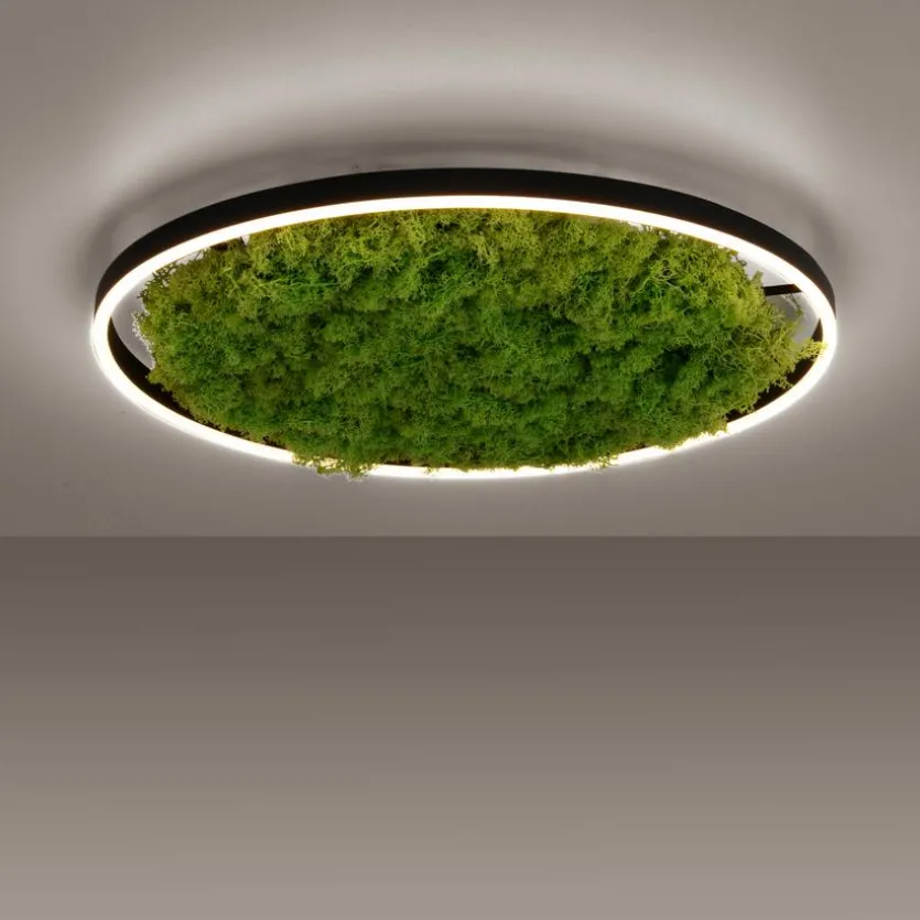 LED-Deckenleuchte Gerda Ritus