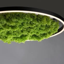 LED-Deckenleuchte Gerda Ritus