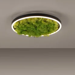 LED-Deckenleuchte Gerda Ritus