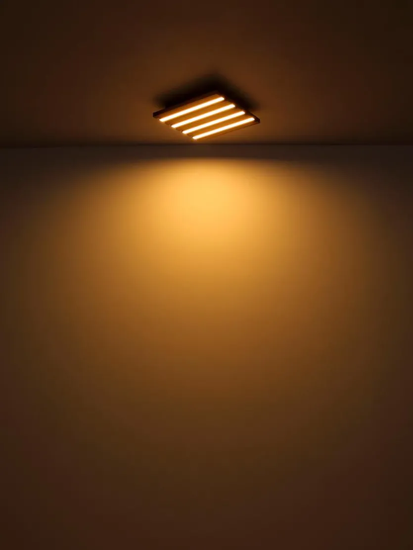 LED-Deckenleuchte Hayden