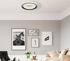 LED-Deckenleuchte Lucky