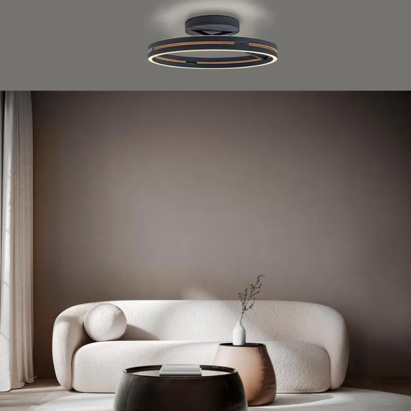 LED-Deckenleuchte Pure Loop
