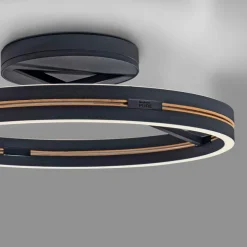 LED-Deckenleuchte Pure Loop