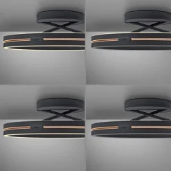 LED-Deckenleuchte Pure Loop