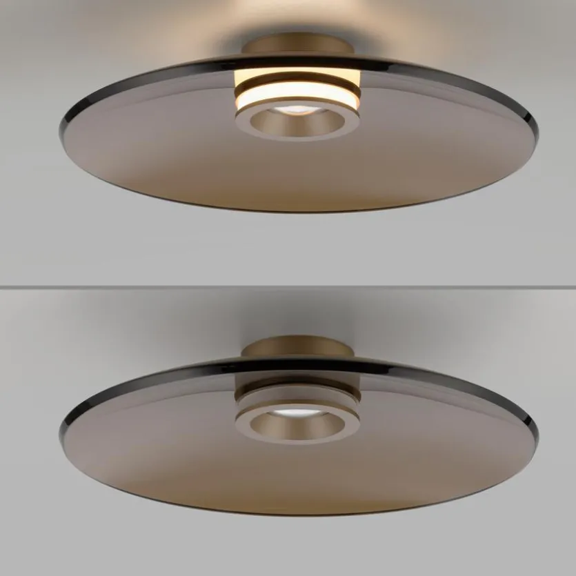 LED-Deckenleuchte Pure Moon