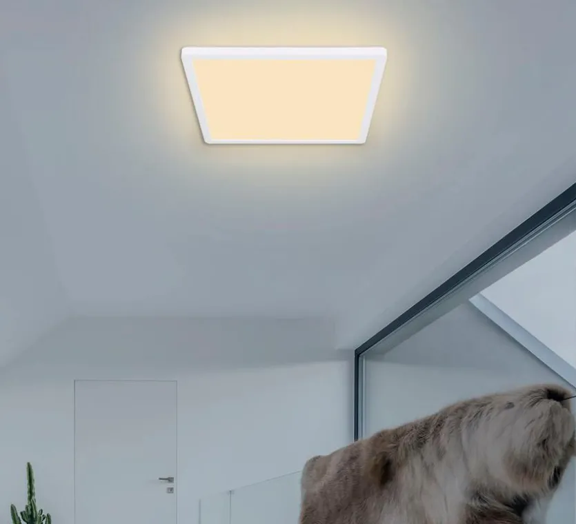 LED-Deckenleuchte Sapana