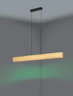 LED-Pendelleuchte Anchorena-Z