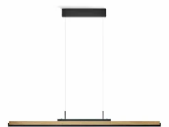 LED-Pendelleuchte Arian
