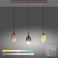 LED-Pendelleuchte Irides