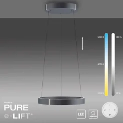 LED-Pendelleuchte Pure E-Clipse