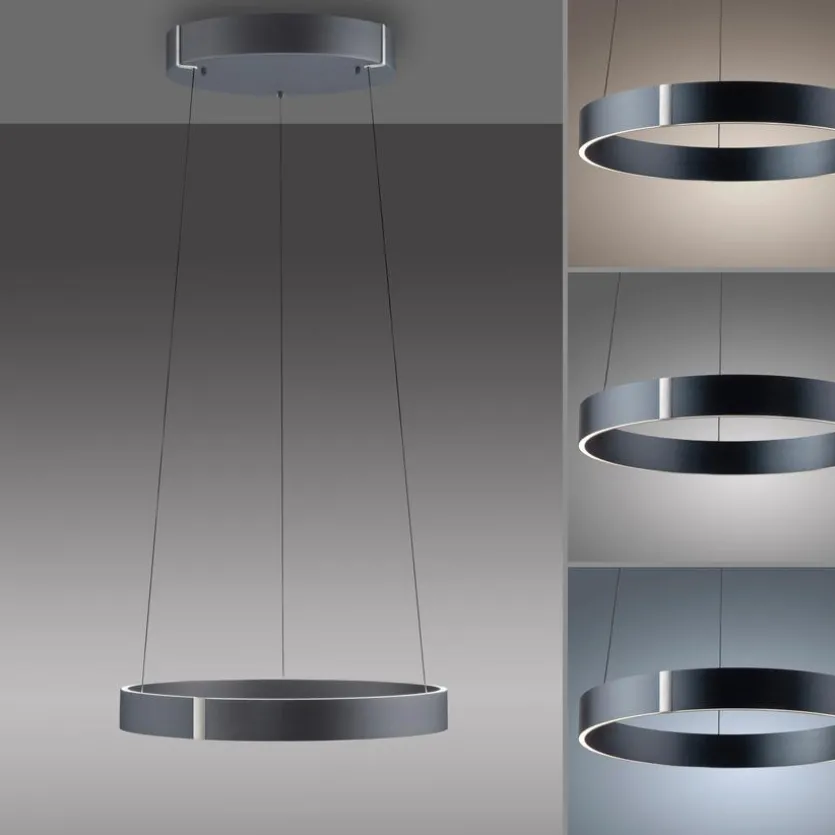 LED-Pendelleuchte Pure E-Clipse
