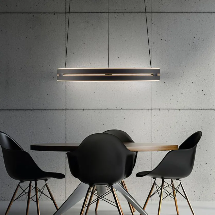 LED-Pendelleuchte Pure E-Loop