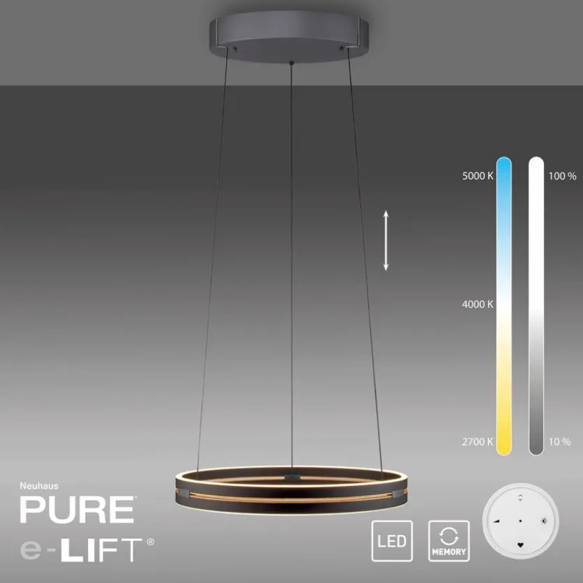 LED-Pendelleuchte Pure E-Loop