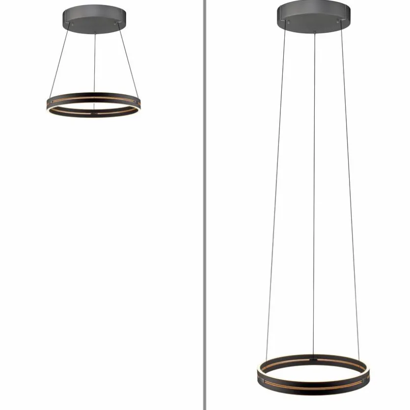 LED-Pendelleuchte Pure E-Loop