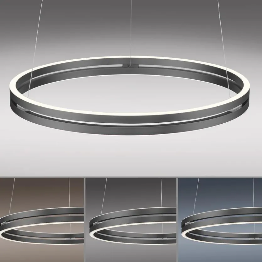 LED-Pendelleuchte Pure-E-Loop