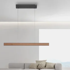 LED-Pendelleuchte Pure-E-Motion