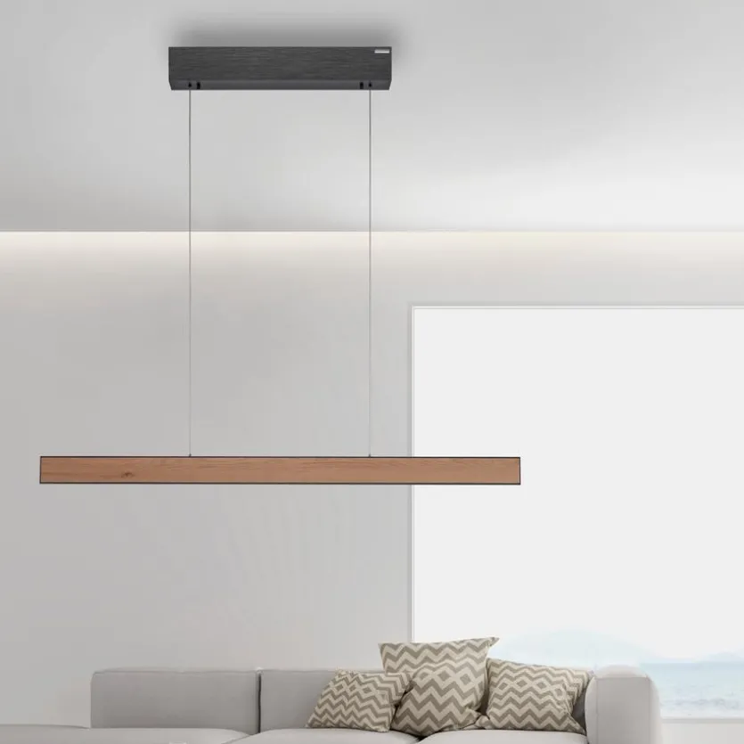 LED-Pendelleuchte Pure-E-Motion