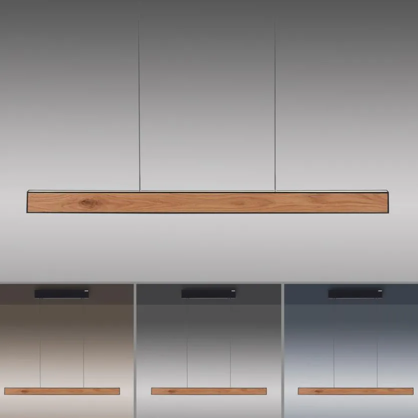 LED-Pendelleuchte Pure-E-Motion