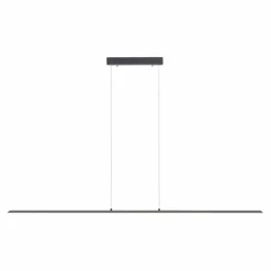 LED-Pendelleuchte Pure Lite