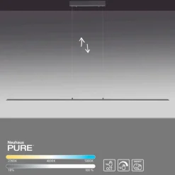 LED-Pendelleuchte Pure Lite