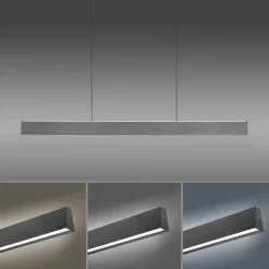 LED-Pendelleuchte Pure-Motion