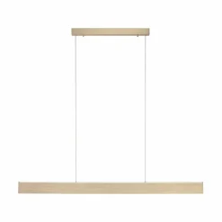 LED-Pendelleuchte Pure-Motion