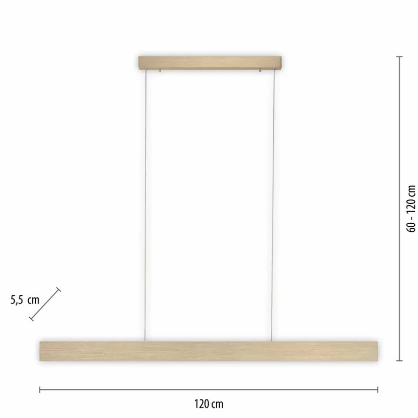 LED-Pendelleuchte Pure-Motion